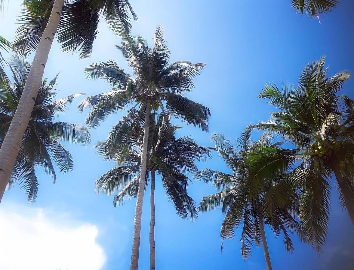 Siargao Sunflower Suites General Luna  Eksteriør bilde